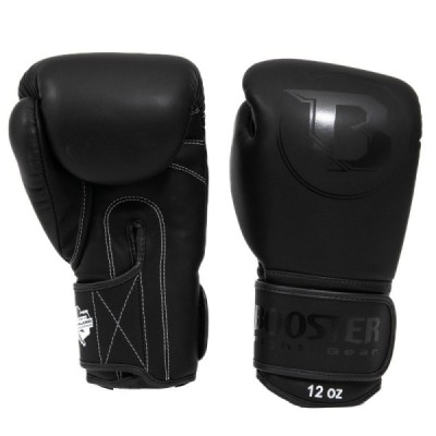 PRO BGL VX 1