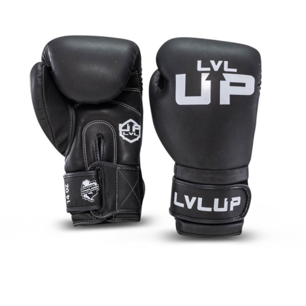 LVL-UP BG 1