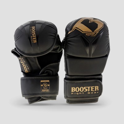 BFG MMA BANGKOK 1