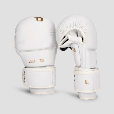 BFG MMA JUST FIGHT 2