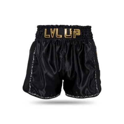 LVL-UP GO 2