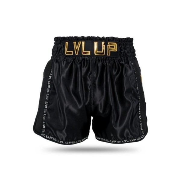 LVL-UP GO 2