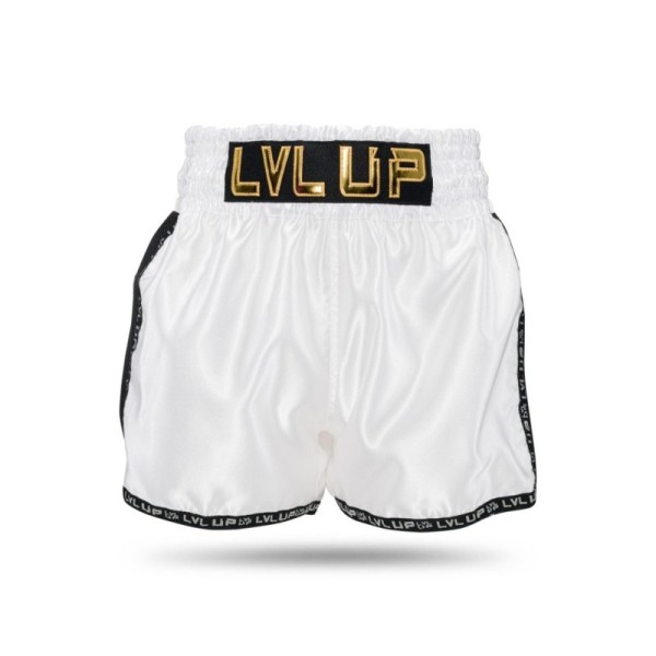 LVL-UP GO 3