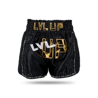 LVL-UP LOGO 1