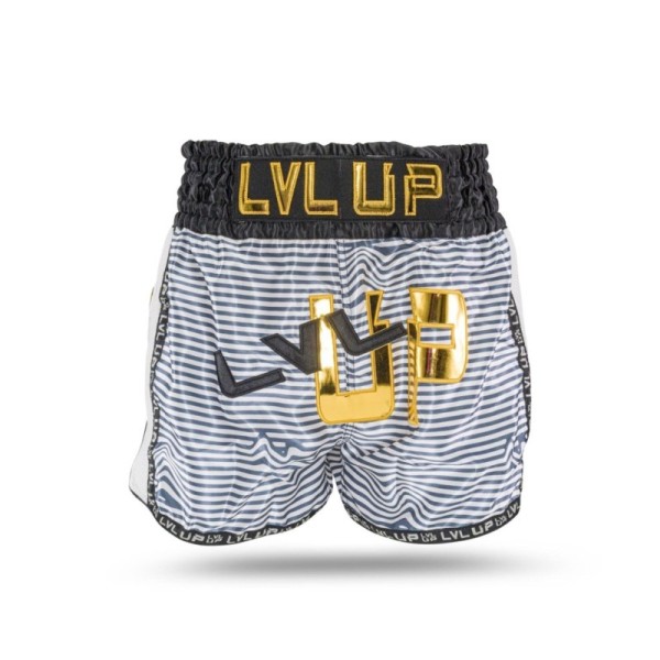 LVL UP FLASH 1